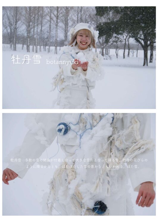 牡丹雪